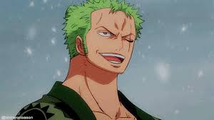 Which one would you chose? Zoro So I Finally Have Time To Focus On One Piece Ep