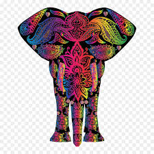 See more ideas about rainbow colors, rainbow, world of color. Rainbow Floral Pattern Elephant Colorful Elephant Svg Hd Png Download Vhv