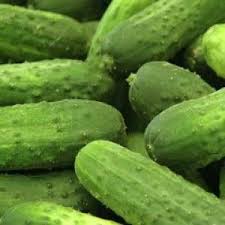 National Pickling Cucumber Seed Cucumber Seeds Pickling Cucumbers Cucumber