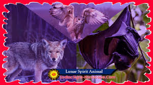 Possible signs and symptoms include a lump, abnormal bleeding, prolonged cough, unexplained weight loss. Lunar Spirit Animal Symbolism And Meaning Moon Animal Symbolism