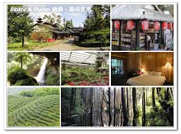 暑假特輯》避暑聖地推薦！【內湖國小、妖怪村、杉林溪森林遊樂區