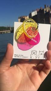 Agrume Rose Et Jaune Medaille D Identification Pour Chien Et Chat En Plexiglas Transparent Medaille Chien Chien Medaille