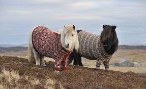 We did not find results for: Knit For Your Horse