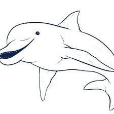 Come Disegnare Un Delfino 5 Passi Come Disegnare Delfini Disegni