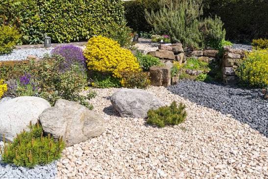 Rock garden