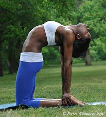 But good luck getting one to do it. Yoga Lab Camel Pose Five Pillars Yoga