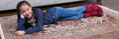 Cleaning the carpets may mean vacuuming to your. Area And Oriental Rug Cleaning In Saratoga Springs Ny Free Quote