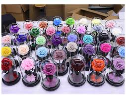 In the philippines, that was part of the spanish empire for a long time, a large number of baroque constructions are preserved, including the baroque churches of the philippines that four of these, and the baroque and neoclassical city of vigan, are both unesco world heritage sites. Forever Roses In Glass Dome Pink Preserved Roses Thanksgiving Gift