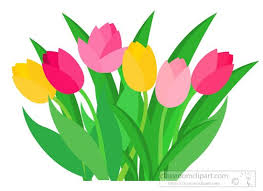 Bunch Colorful Spring Tulip Flower Clipart Jpg Flower Clipart Tulips Flowers Spring Tulips