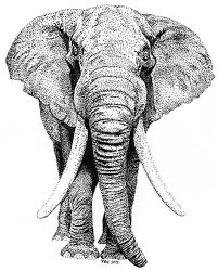 Pin By Sarah Denton On Animals Stippling Art Pointalism Art Stippling Drawing