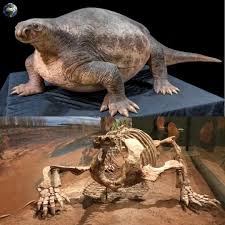 Image result for Megalochlamys