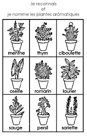 plantes reconnaitre gif 601 930 projet de classe plante ecole primaire coloriage winnie l&#x00027;ourson