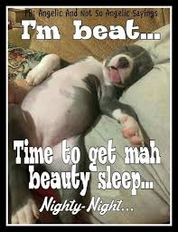 Pin By Susan Blanchette On Funnies Good Night Funny Good Night Meme Nighty Night