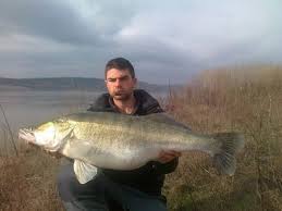 Near World Record Zander Big Fish Fish Fish Friday