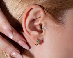 Image result for Tragus koelerioides