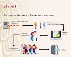 Por onu méxico | 19 mayo 2021. Vacuna Contra Covid 19 En Mexico Cuando Como Y Donde Se Aplicara News Report Mx