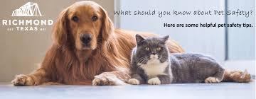 Three great reasons to consider adopting a senior pet. Pet Safety City Of Richmond
