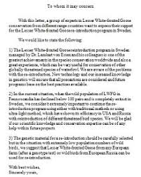 Request letter format to whom it may concern fresh pany letter. 55 To Whom It May Concern Letters Templates 2020 Excelshe
