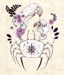 Use symbol 🦀 to copy and paste crab emoji or 🦀 code for html. 38 Astrology Ideas Astrology Zodiac Signs Cancer Cancer Zodiac