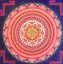 Plant description thousand petals lotus has breathtaking, full blooms on this large lotus specimen. Thousand Petal Lotus Mandala Art Lotus Mandala