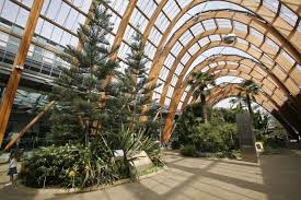 Sheffield Winter Gardens Weddle Landscape Design Winter Garden Landscape Design Garden Design Layout Modern