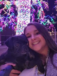 Pug Owners' Need for Daily Pug Attention