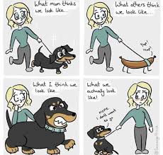 Dachshund Comics Comics Dog Cartoon Dog Comics Animal Comics Pet Comics Funny Comics Comics Love Comics Lover Comi Funny Dachshund Dachshund Cartoon Dog Comics