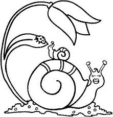 Diversos Desenhos De Caracol Para Imprimir E Colorir Animalitos Para Colorear Dibujos De Macetas Dibujos Para Colorear