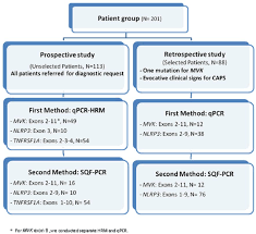 Flow Chart For The Screening Of Mutations In The Genes Mvk