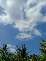 Search free langit wallpapers on zedge and personalize your phone to suit you. Pin Oleh Germana Gomes Di Awan Awan Langit Langit Biru