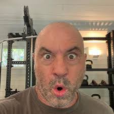 Now he is 52 years 7 months 10 days old in 2020. Joe Rogan Comedian Biography Wiki Net Worth Height Weight Spouse Family Facts Starsgab