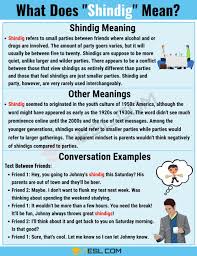 Shindig Meaning What Does Shindig Mean With Useful Conversations In 2020 Other Ways To Say Shindig Slang Words
