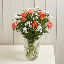 The top employers in the city include caterpillar, hollywood casino, west. What Are Letterbox Flowers Pollen Nation