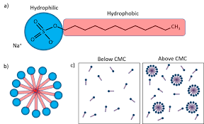 Sds And Biological Membranes - Youtube