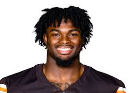 Harold Fannin Jr. - Cleveland Browns Tight End - ESPN