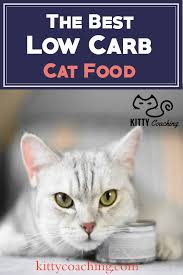 The effect of this food on diabetic cats can be dramatic. Low Carb Cat Food Reviewed Our Top 5 Picks 2018