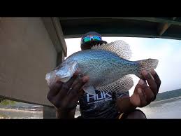 Wife And I Paid For A Guide On Lake Allatoona In N Ga, Tipped Him Extra  Since I “Borrowed” His Fishing Spots Via Google Maps And Wrote Down All The  Exact Depths