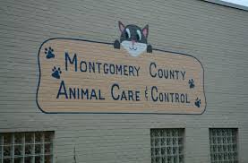 Tuesday through sunday 11:30 a.m. Covid Outbreak Shuts Down Montgomery County Animal Shelter For Week Clarksvillenow Com