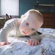 James Sugar (shugdiesel)