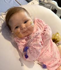 I thought this story would be nice to bring you today as it's National Wear  Red Day, a day we wear red to bring awareness to women's heart issues ❤️👇  Just south