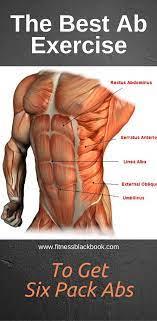 The Best Abdominal Exercise To Get 6 Pack Abs Was Created By Bruce Lee I Call It The Breath Of Dragon Abdominal Muscles Anatomy Muscle Anatomy Anatomy