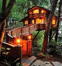 Adults have come up with treehouse designs of their own for a fun excuse to relocate their office or treehouses are often thought of as a child's playroom. How To Build A Treehouse In The Backyard