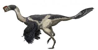 We did not find results for: Citipati Osmolskae By Zhao Chuang Prehistoric Animals Dinosaur Images Ancient Animals