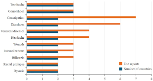 Image result for Turraea nilotica