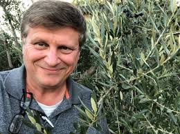 Olive tree cuttings for propagation in Oregon City