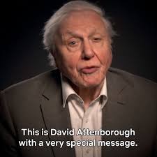 Join our host Sir David Attenborough from 6pm