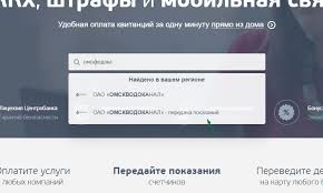 Instrukciya Dlya Polzovatelej Pomosh Vp Ru