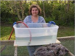 Ten Good Sheep Wool Fleece Washing Tutorial Spinning Wool Textile Tutorial Spinning Yarn