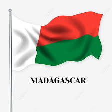 During madagascar's journey towards freedom, the emerging nation created this flag as a reflection of their. Hand Drawn Cartoon Madagascar Flag Madagascar Flag Of Madagascar Flagpole Png And Vector With Transparent Background For Free Download