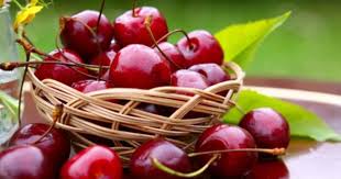 7 Utilisations Meconnues Du Lait A La Maison Qui Vont Vous Etonner Recettes De Nettoyage Trucs Et Astuces Astuce Naturelle